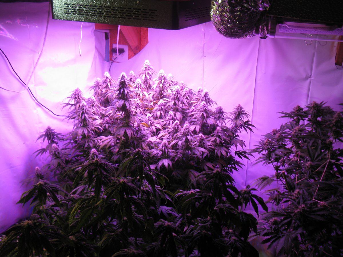 Led overlap 009
