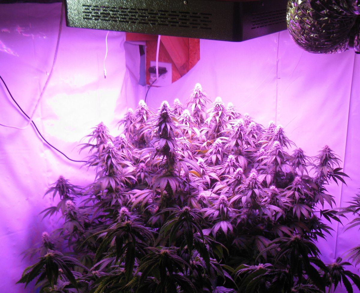 Led overlap 009