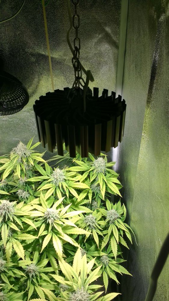 LED with to much distance 3