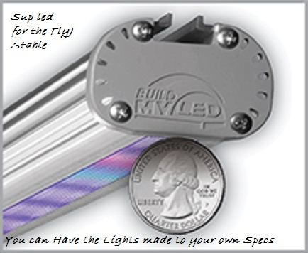 LED 