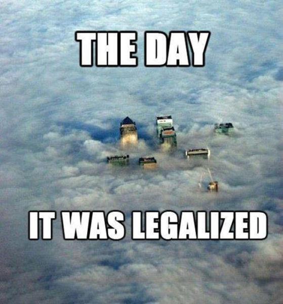 Legal day
