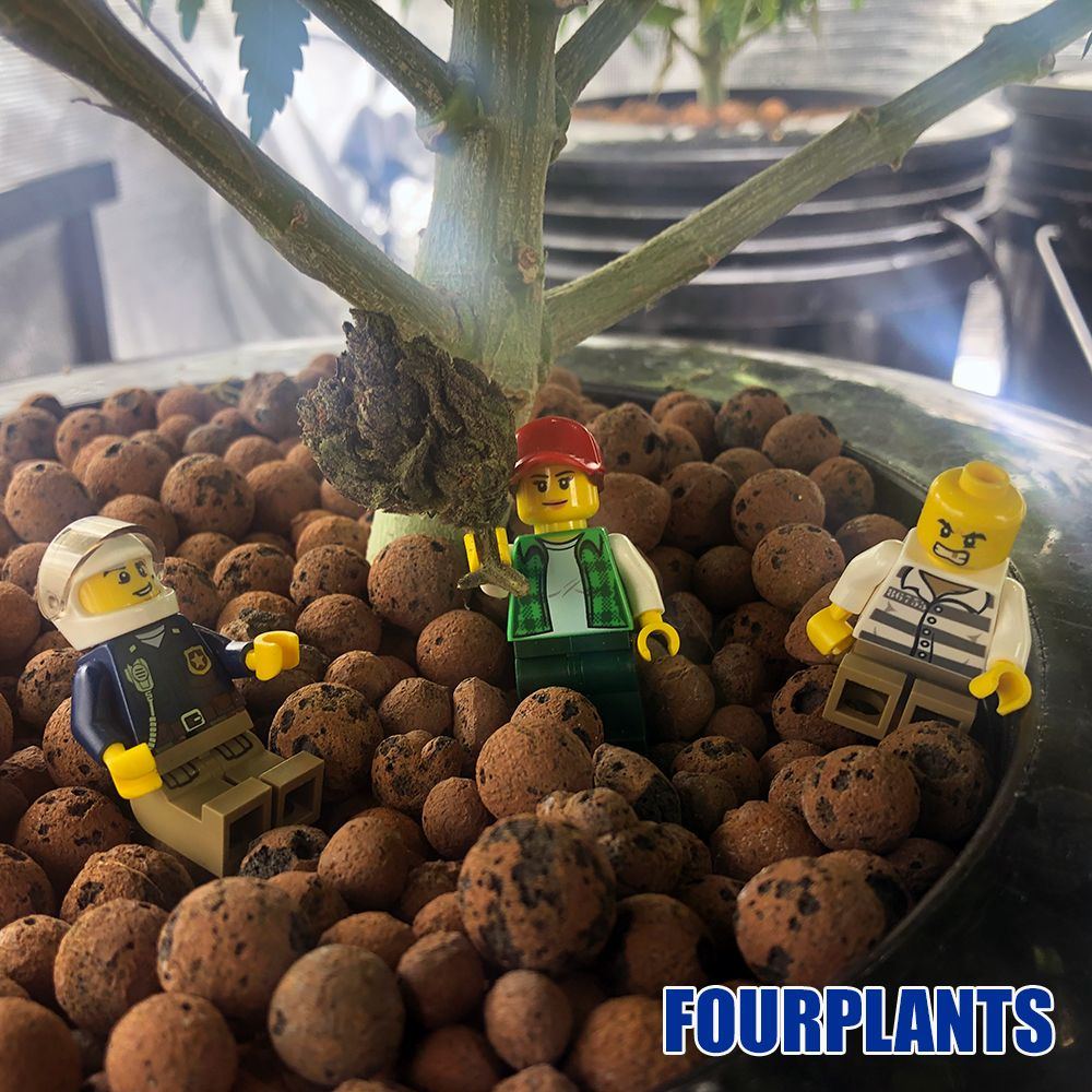 Lego2