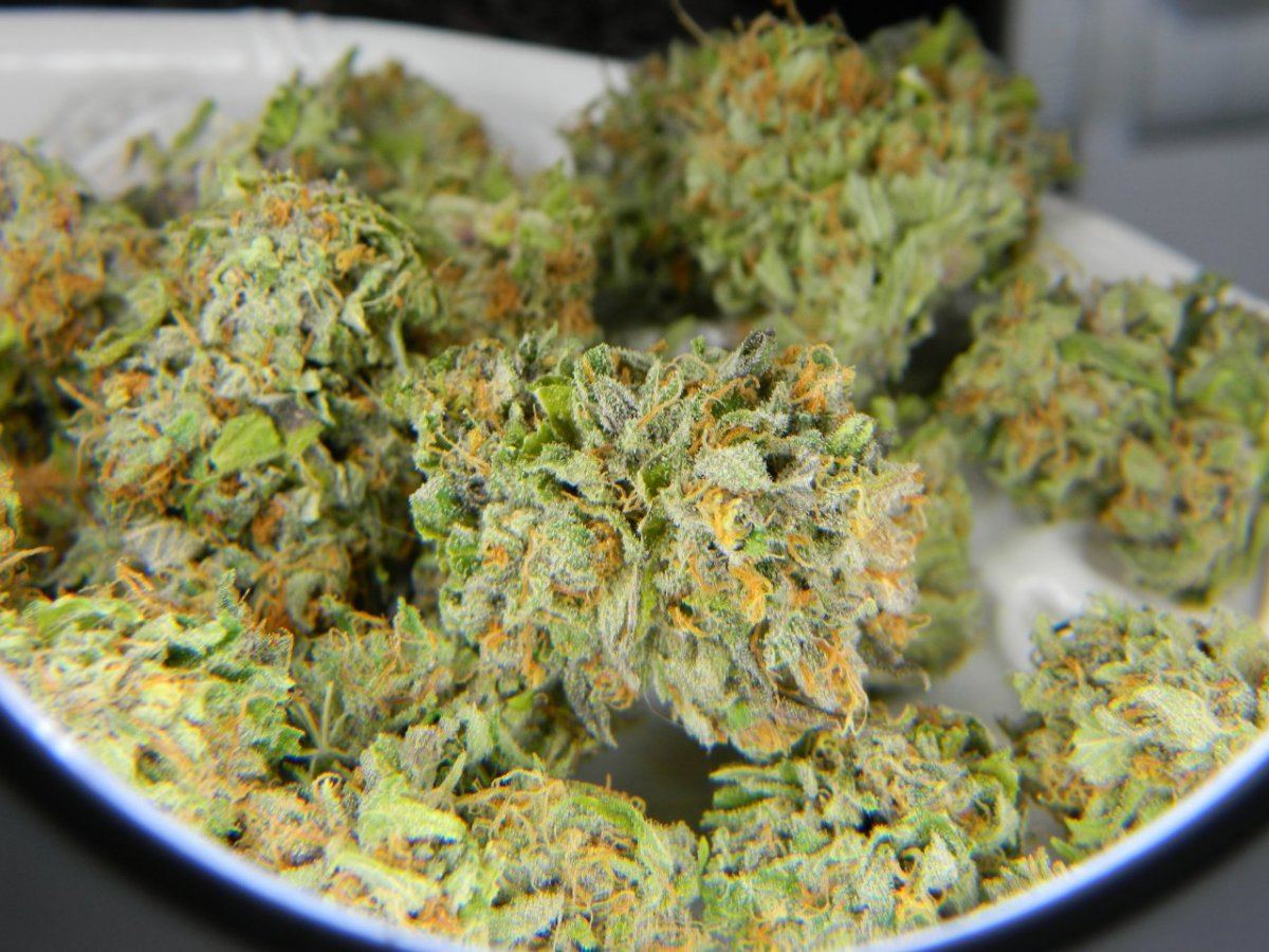 Lemon Dojopoison 009