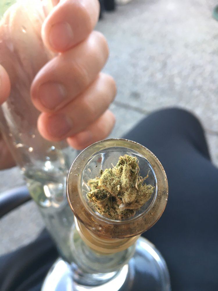 Lemon OG