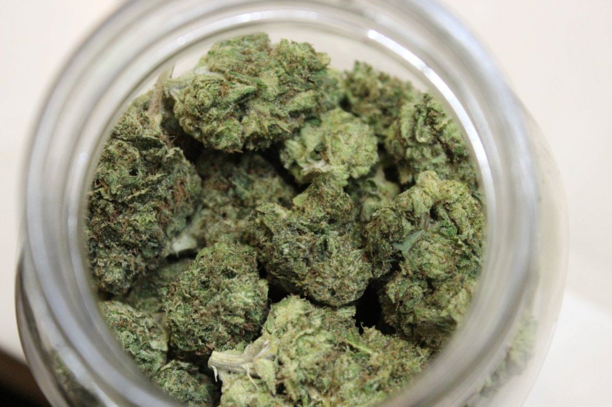 Lemontree