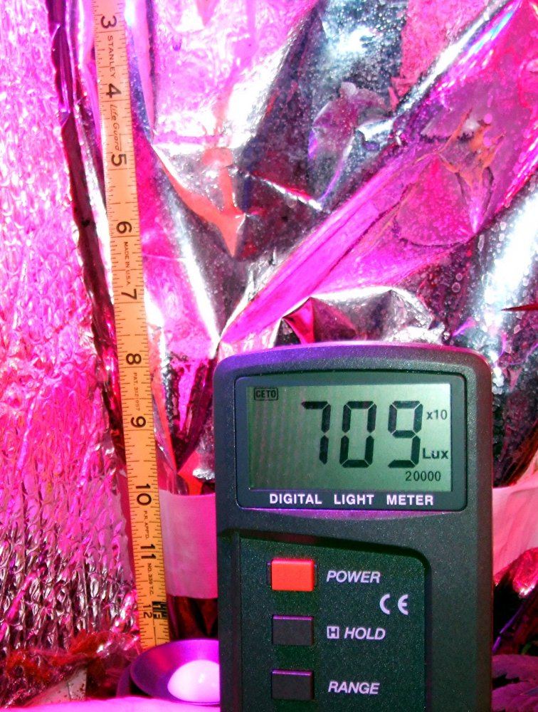 Lensed 12 inches