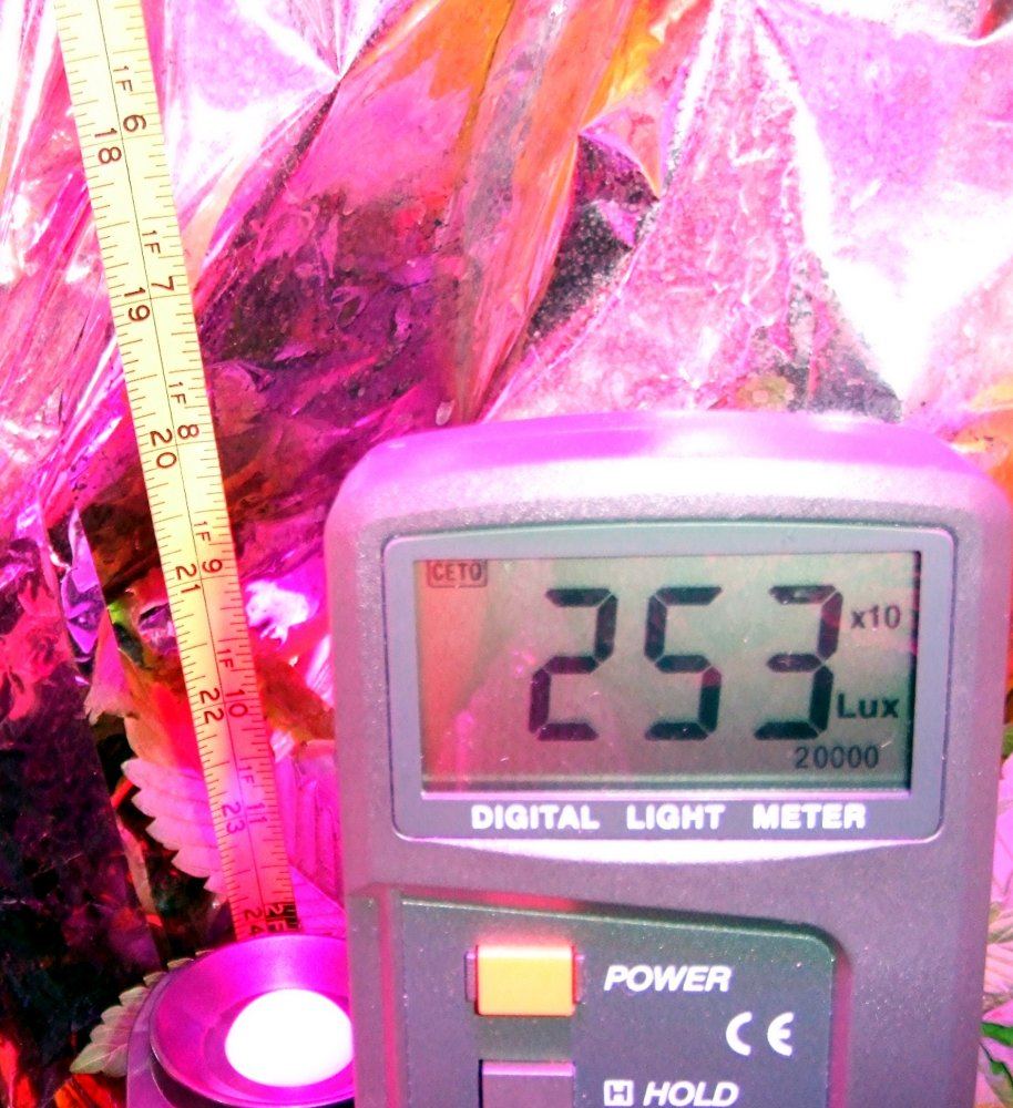 Lensed 24 inches