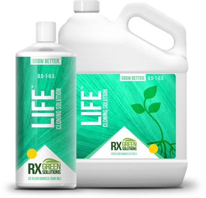 Life LG