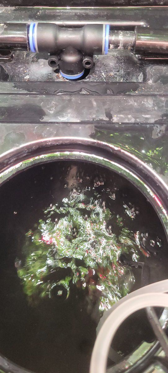 Light brown slime in my tank