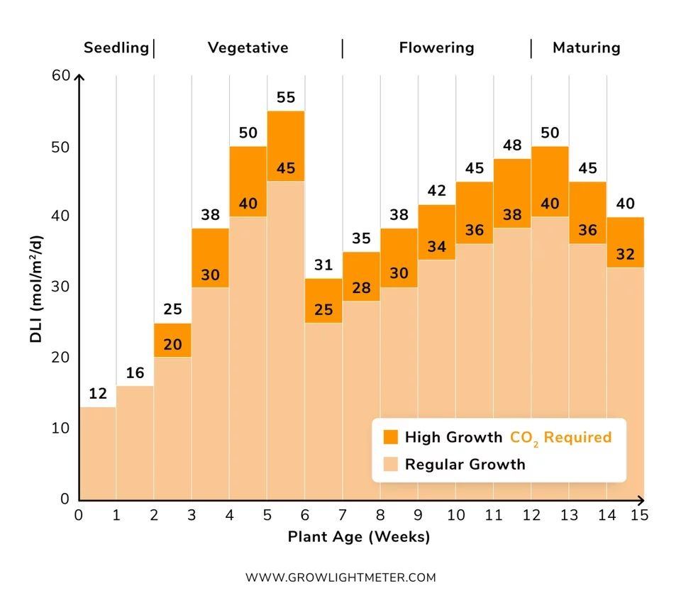 Light Mol chart JPEG