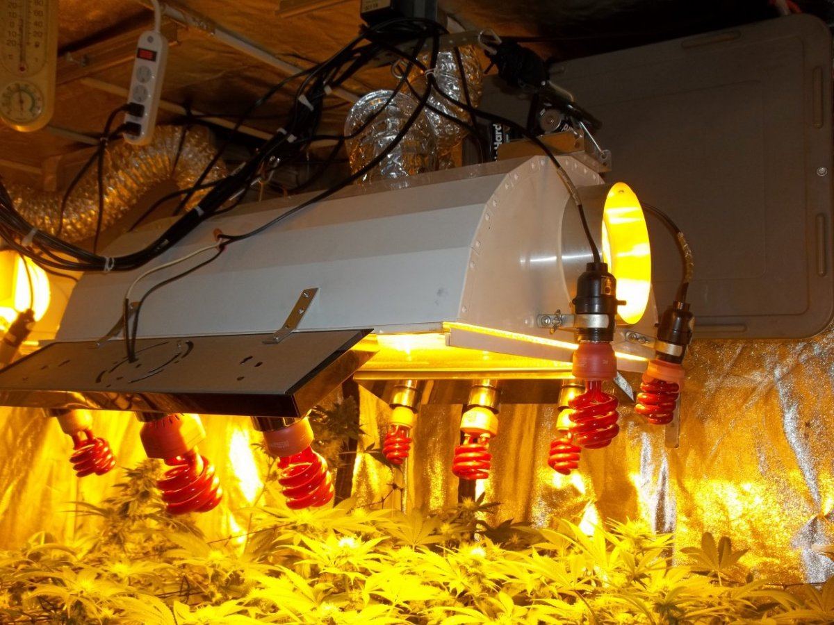 Light setup 002