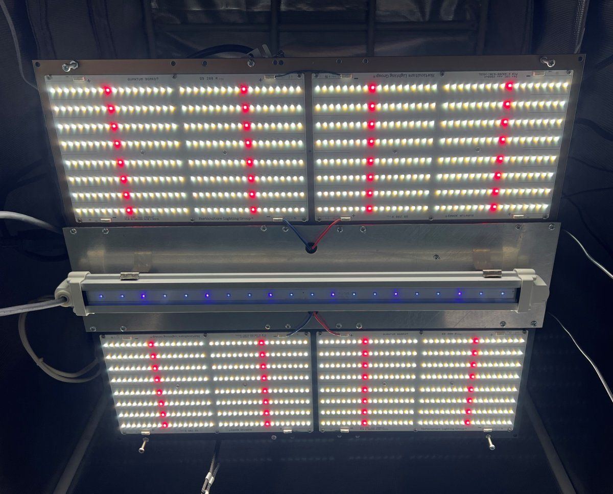 Light1
