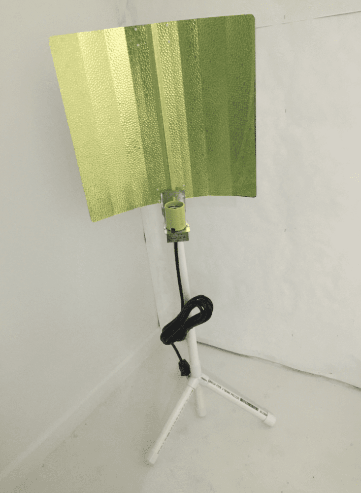 Light2