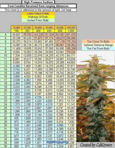 LIGHTING CHART