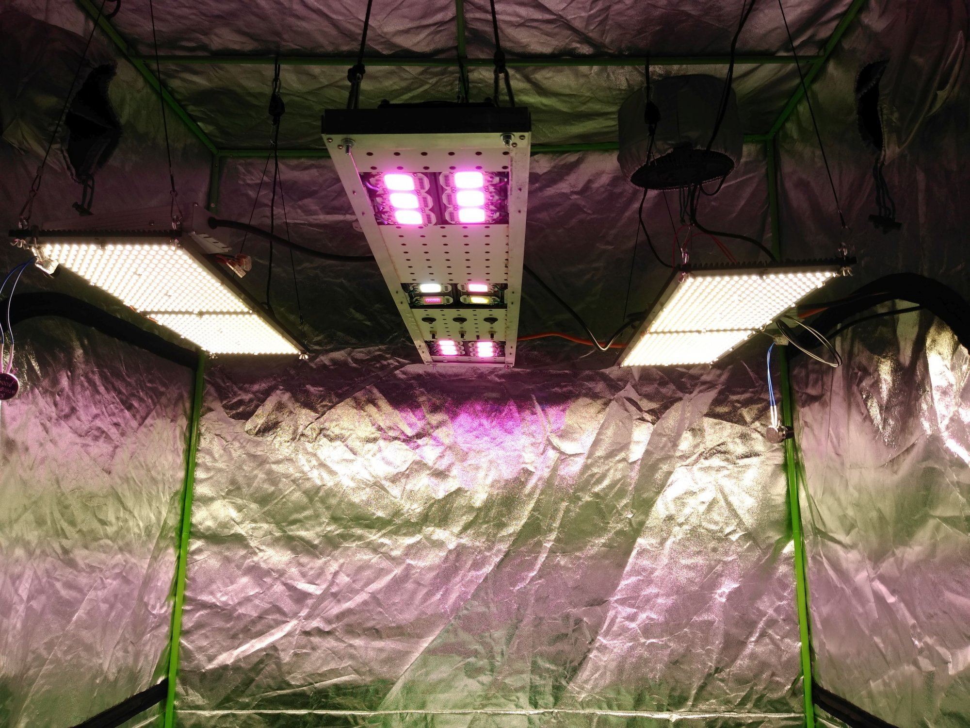 Lights in Grow Tent