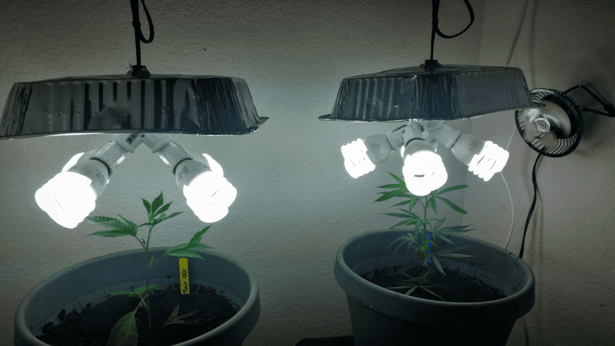 Lights2