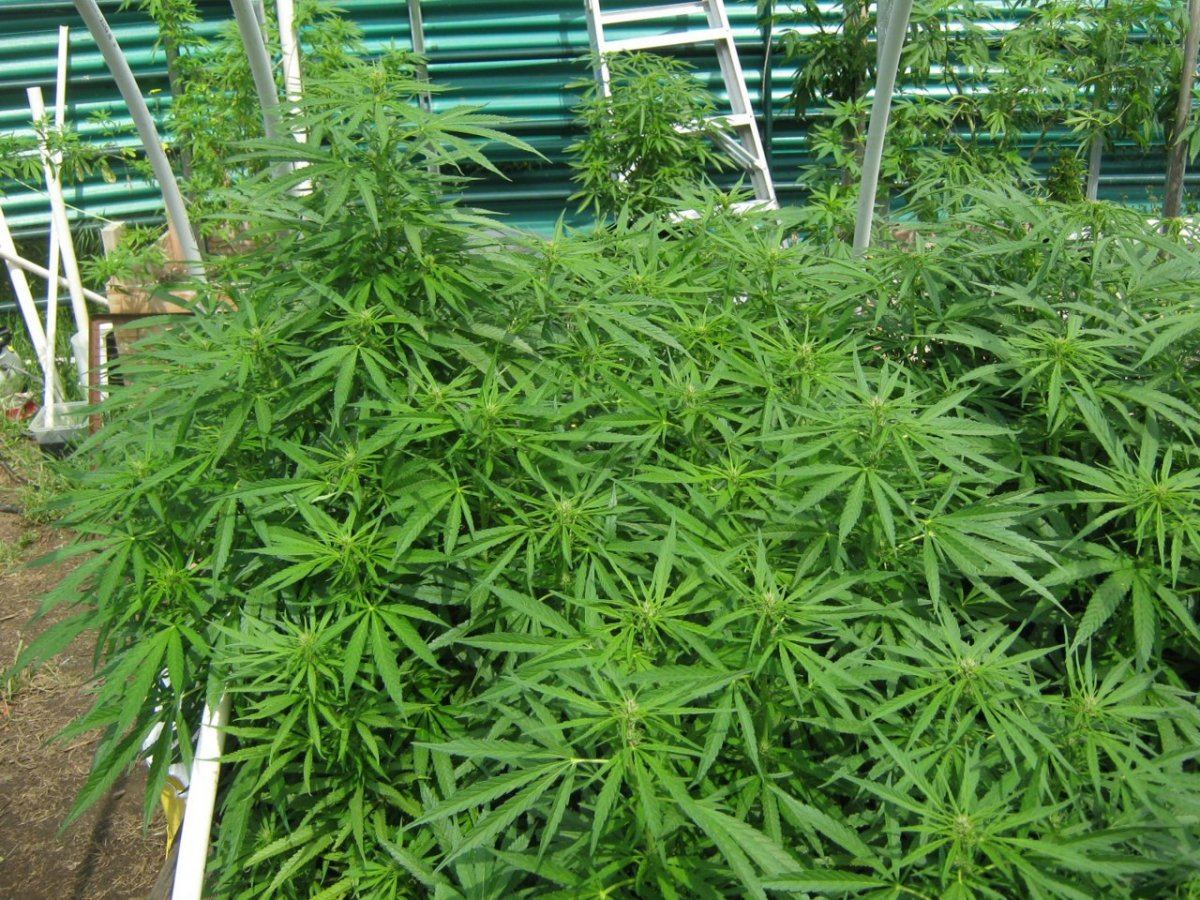 Litedep4 28
