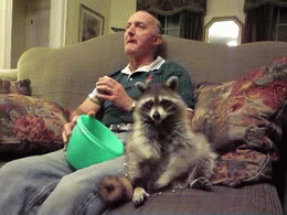 Lolpopcorn gif