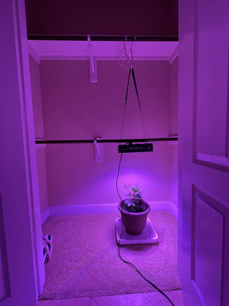 Looking for help on my first grow 3