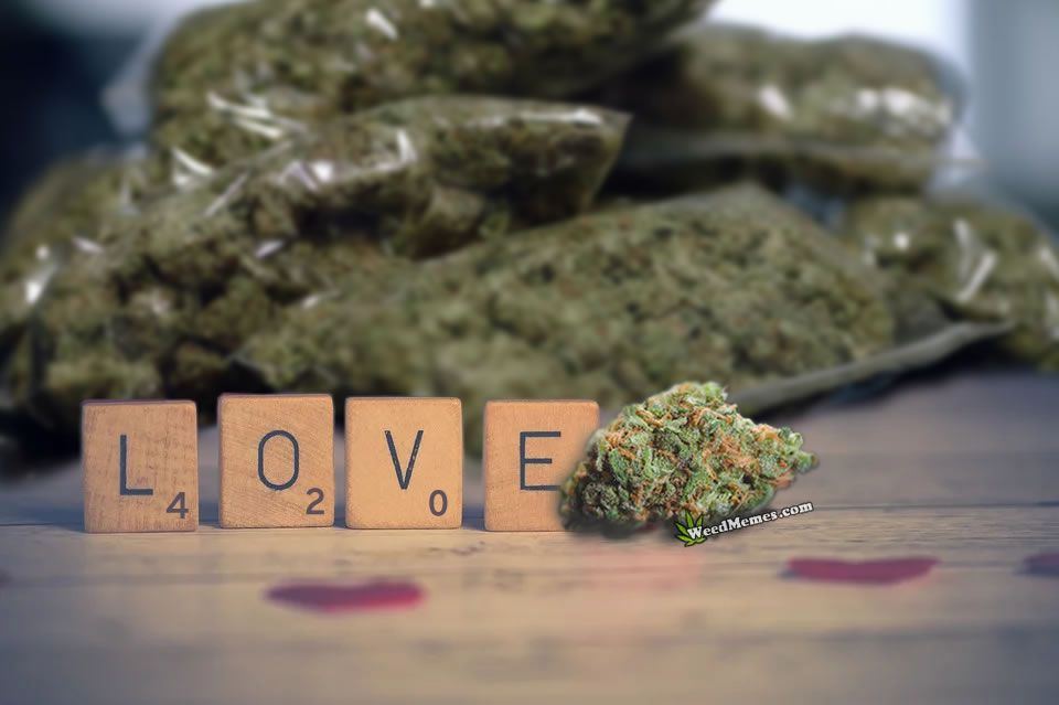 Love 420 weed memes