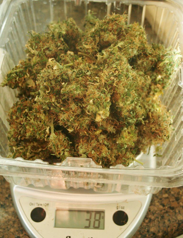 Lowest bud 38gms