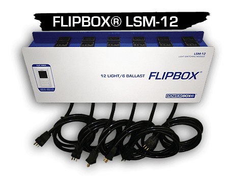 Lsm12