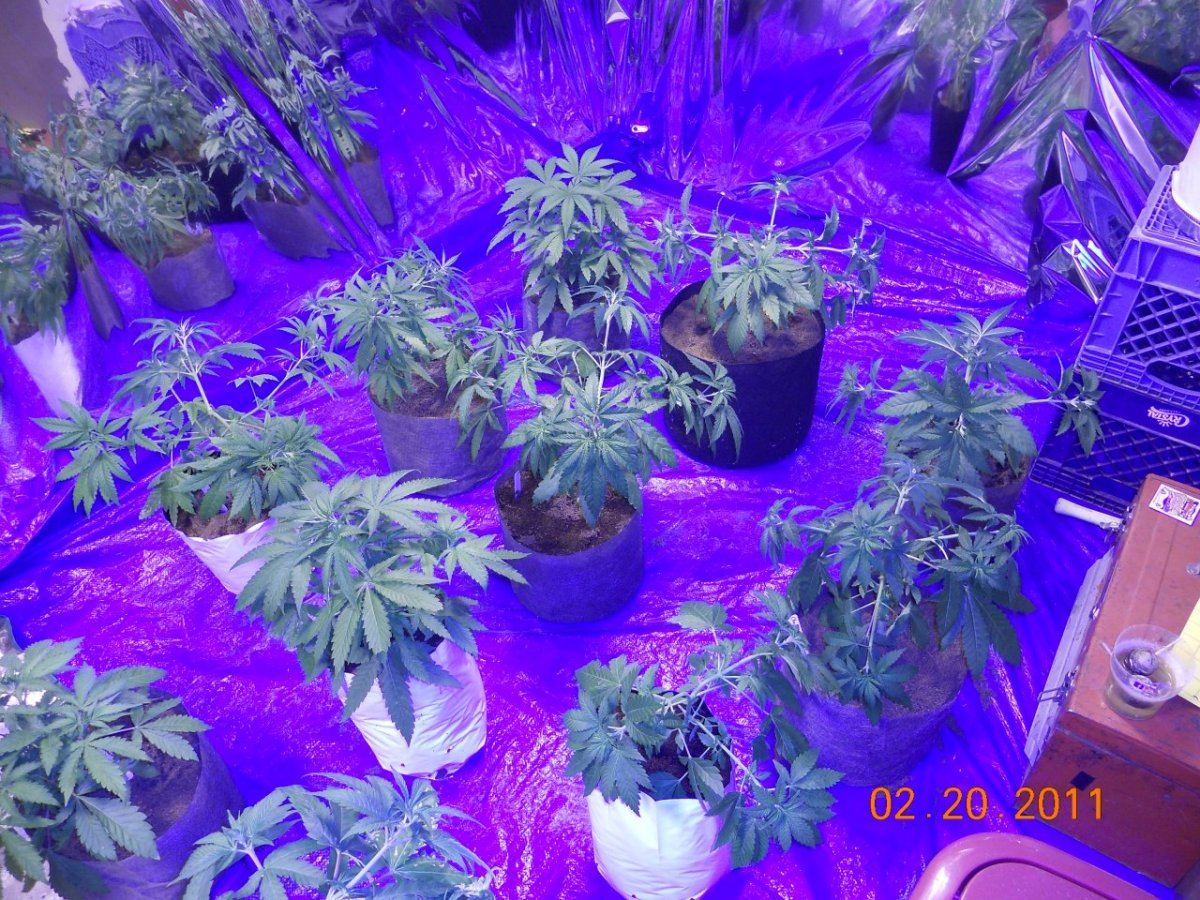 LST 001