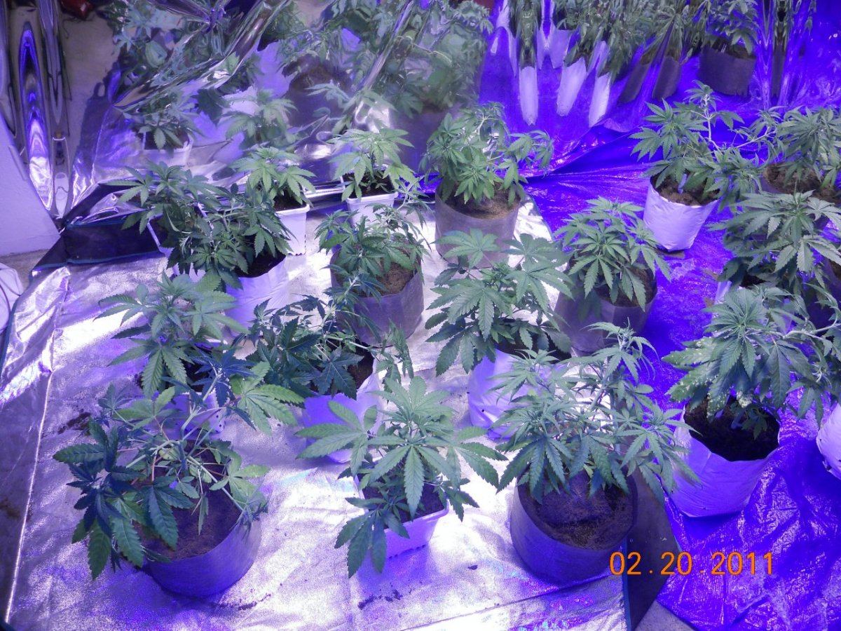 LST 002