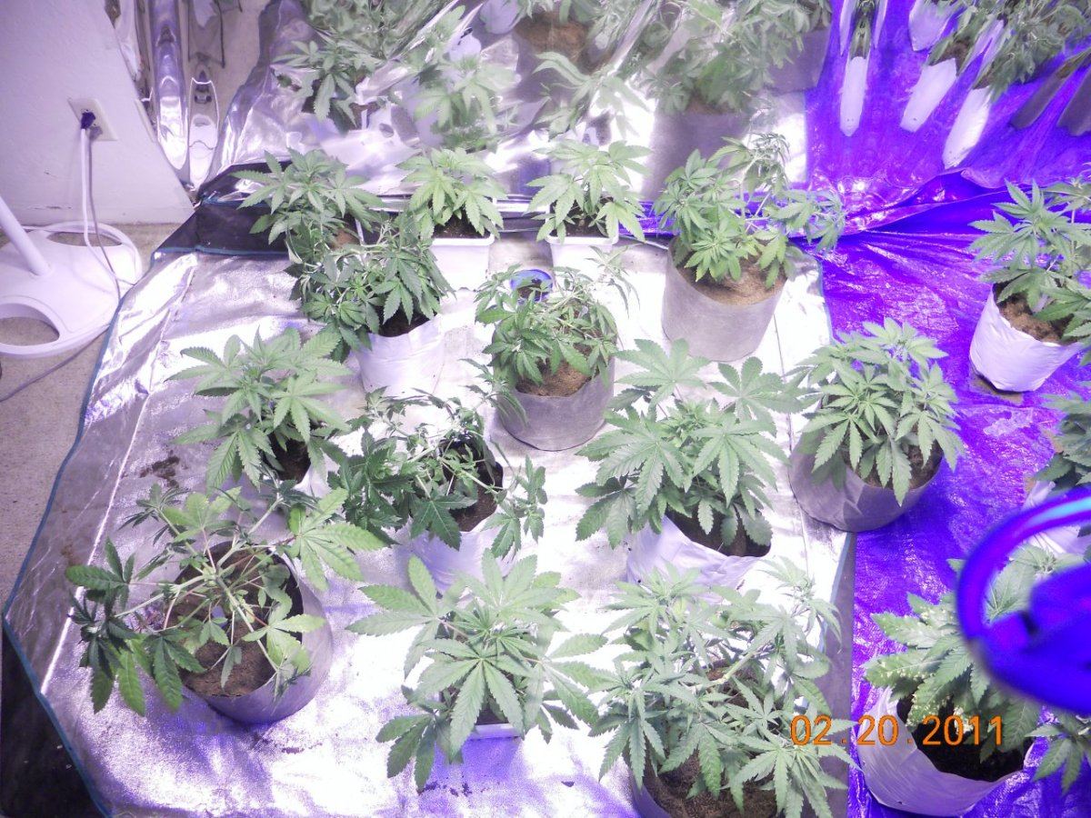 LST 003