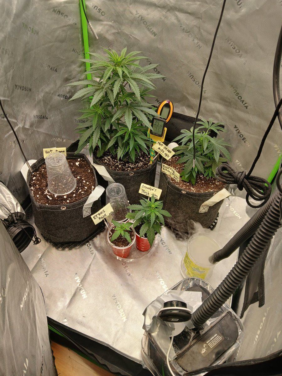 Lst at this time or no 3