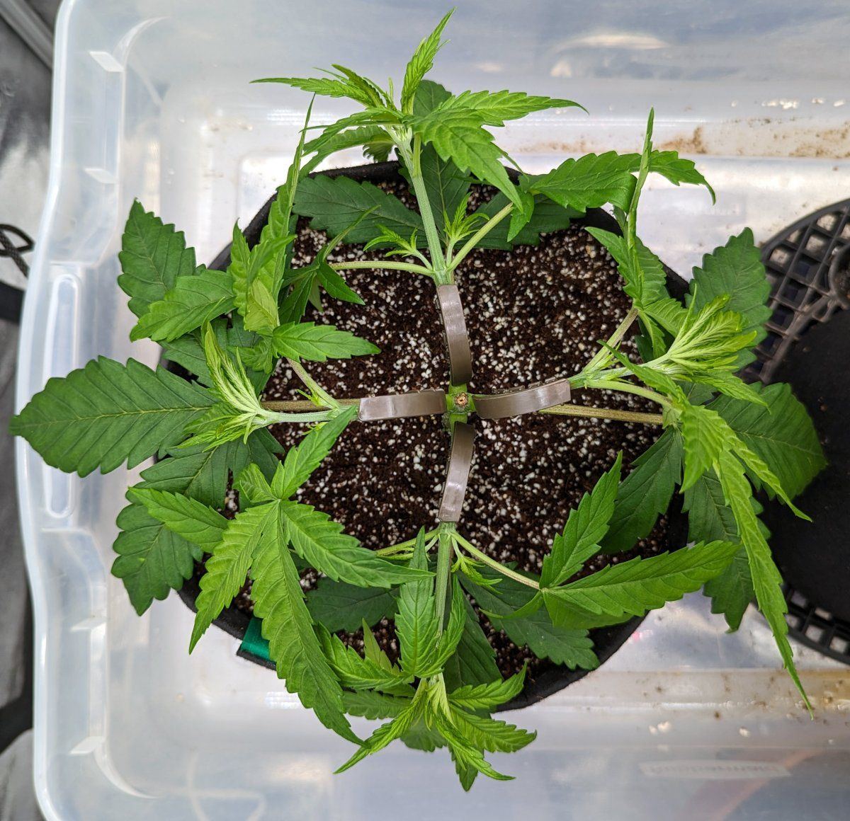 Lst