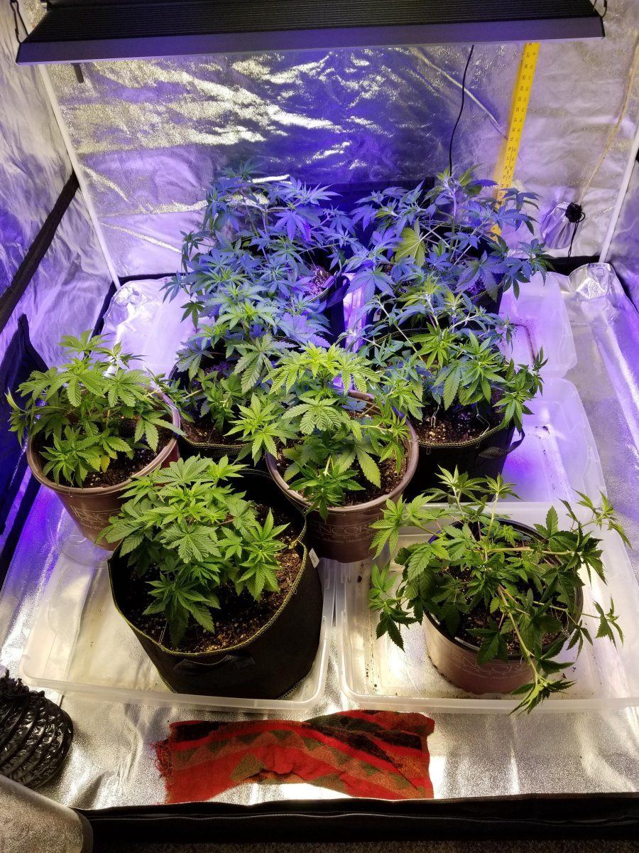 LST paper clip