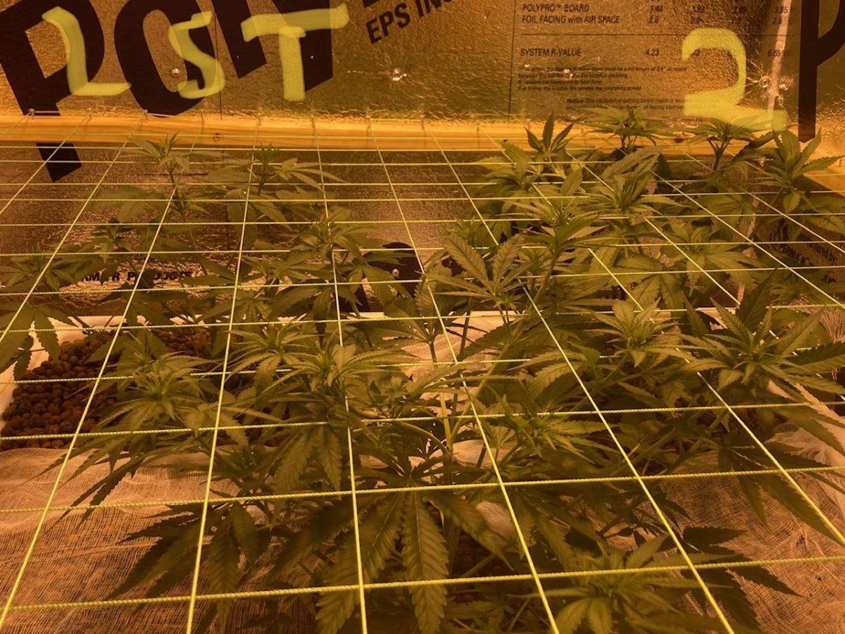 Lst2