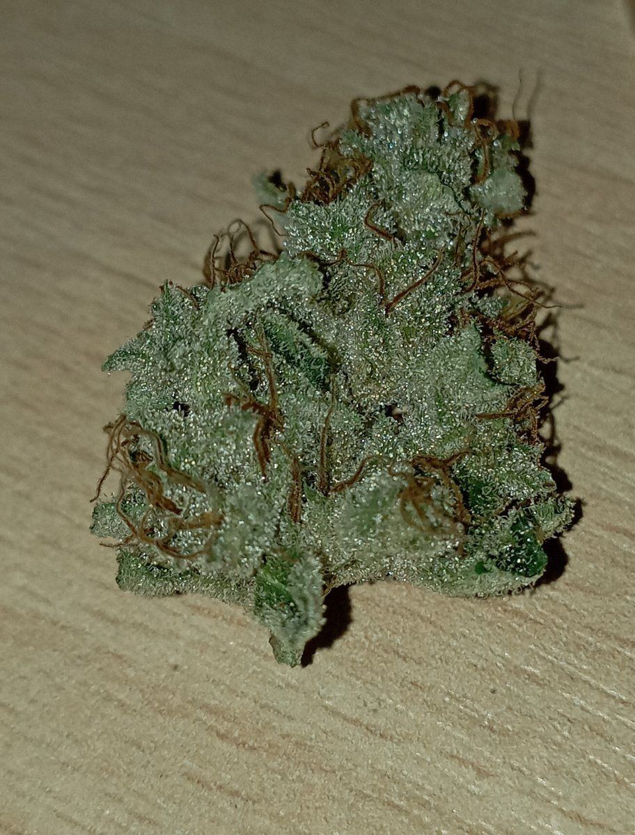 Lynxbud