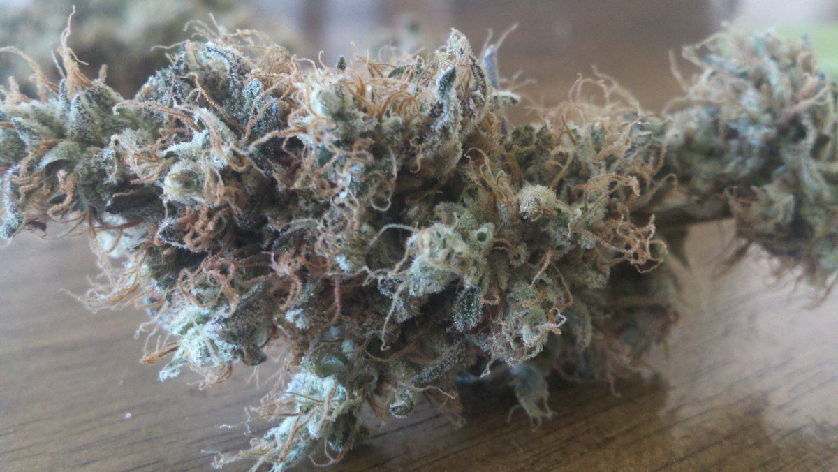 M x dud3harvest