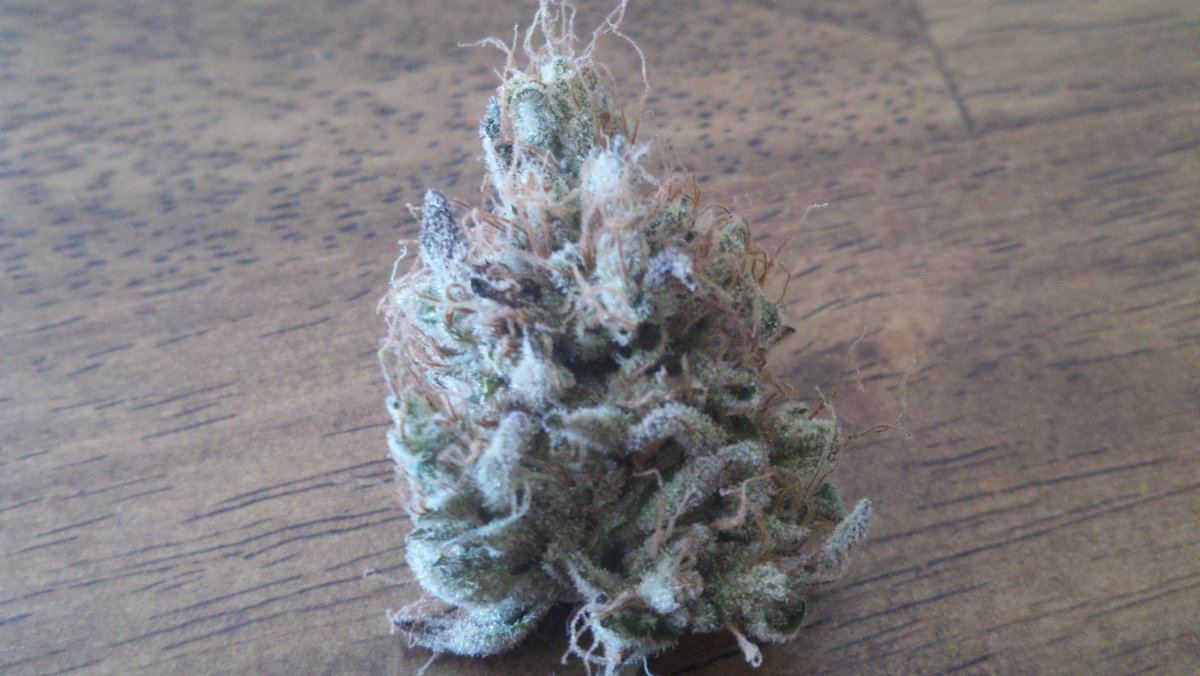 M x dud3aharvest