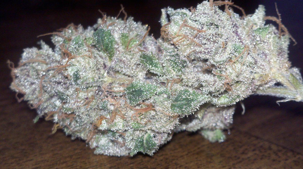 M x dud4harvest