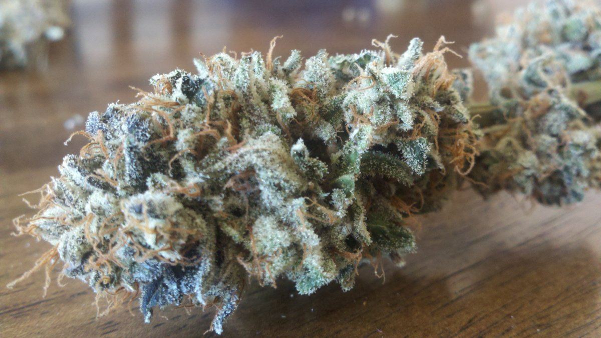 M x dud4aharvest