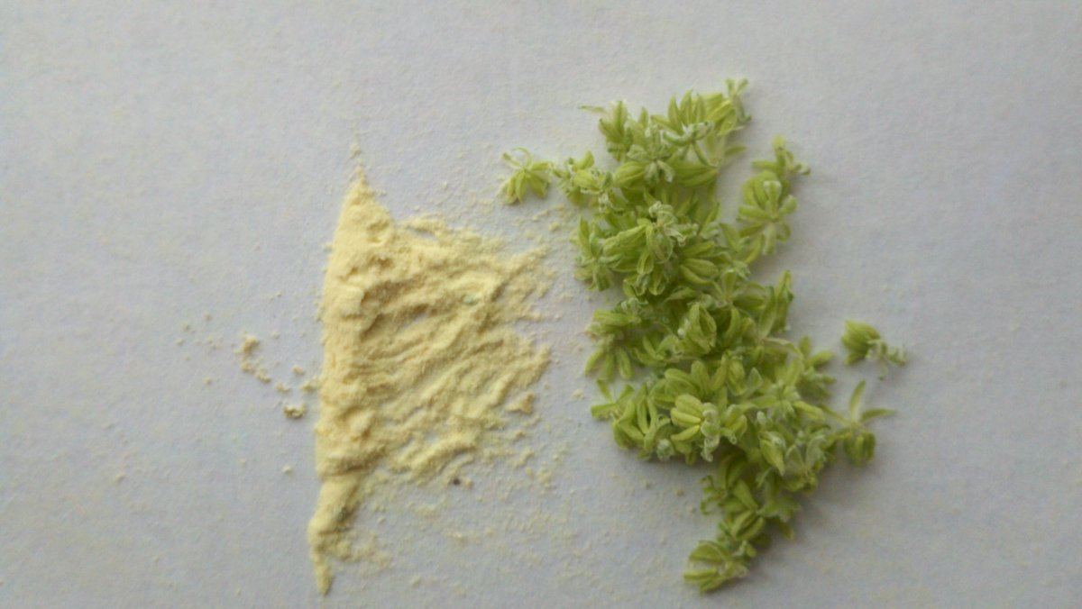 M2pollen