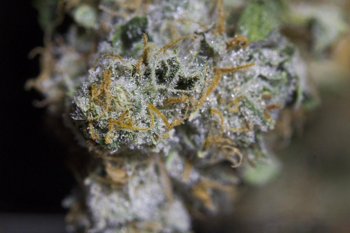 Macro2