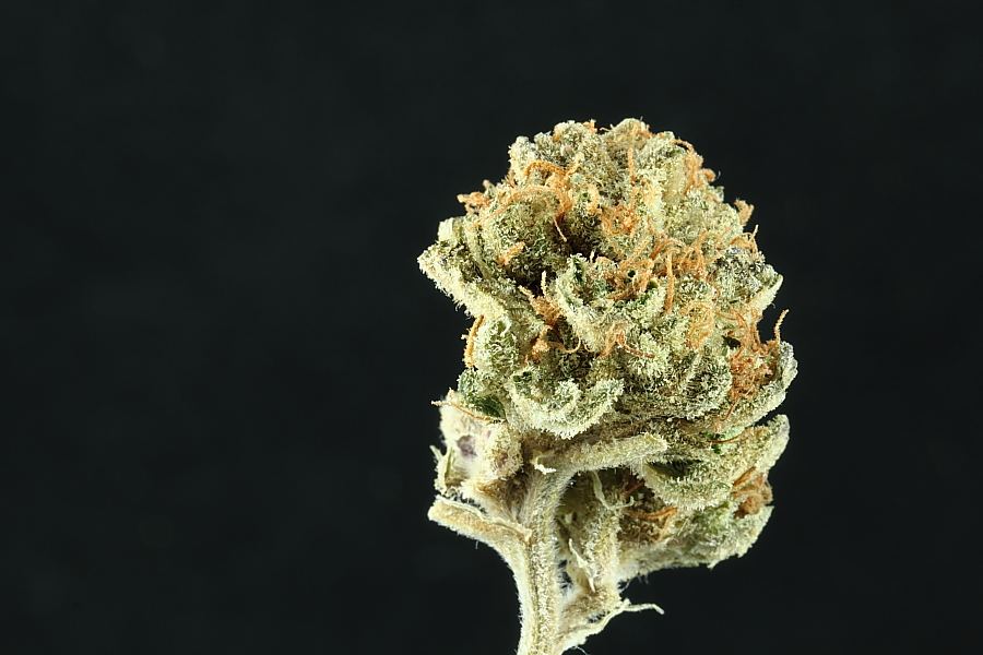 Macros0005