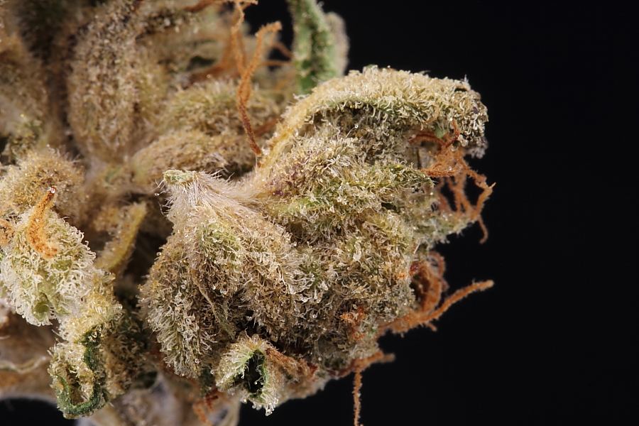 Macros0017