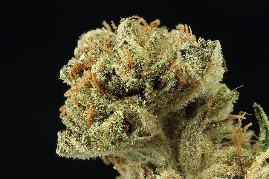 Macros0019