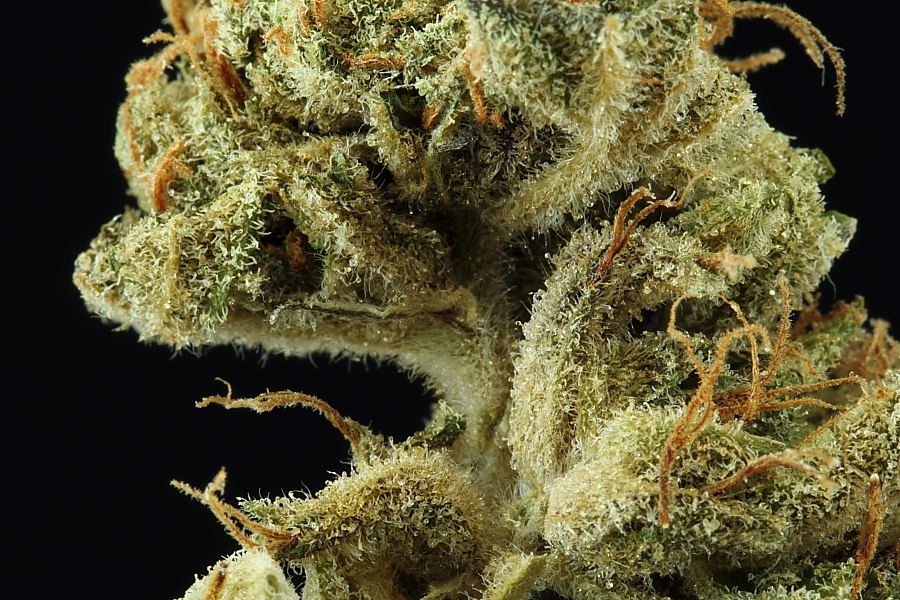 Macros0022