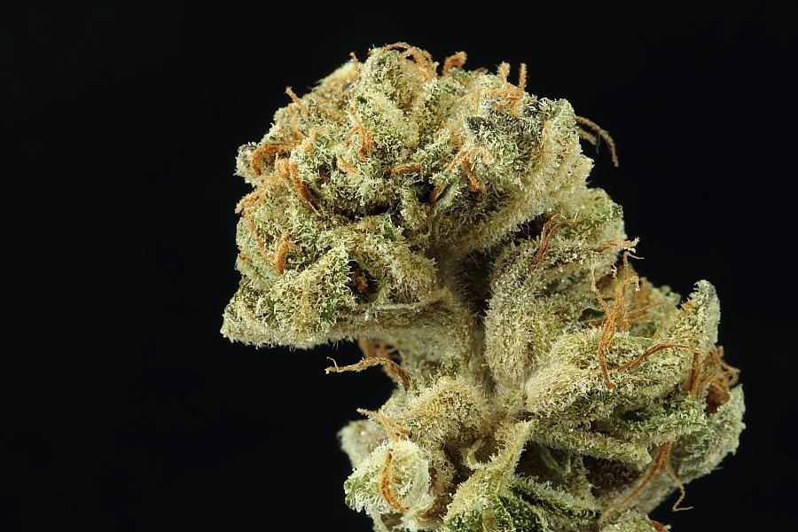 Macros0024