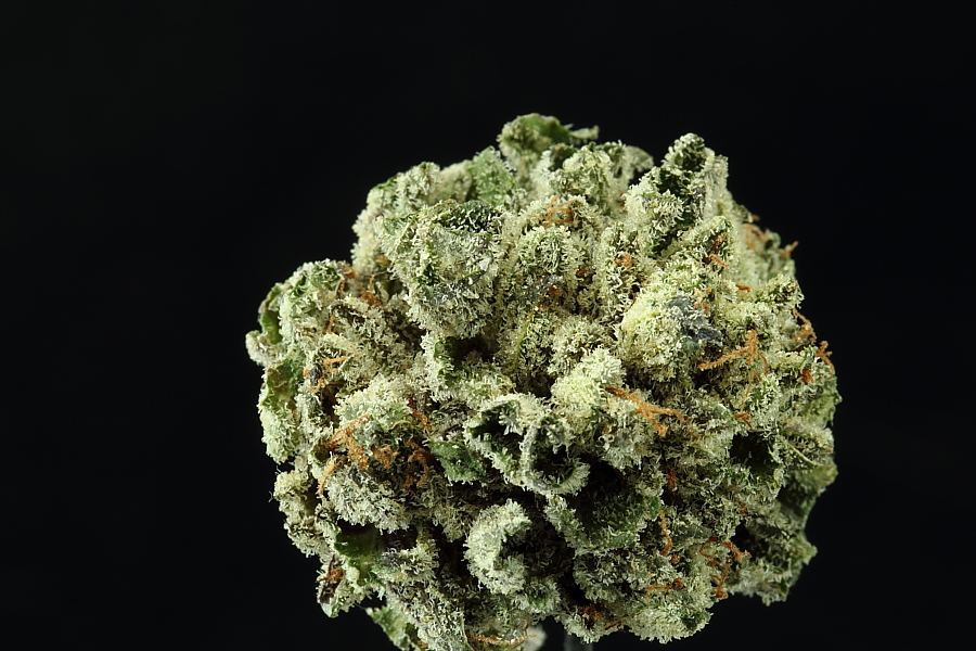 Macros0032