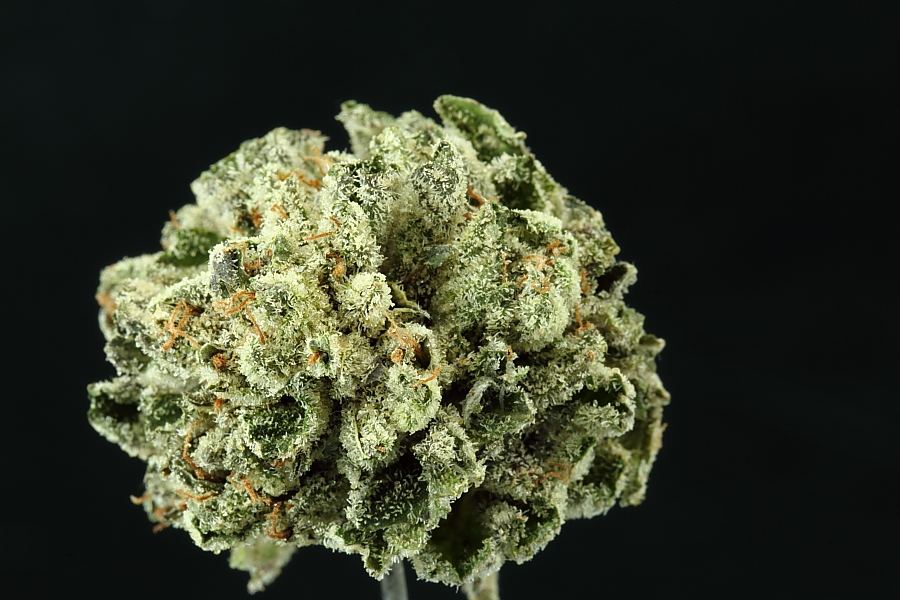 Macros0033