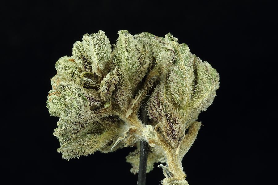Macros0054