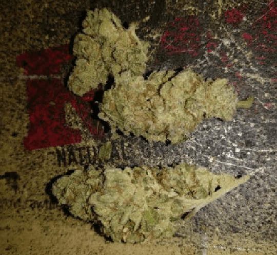 MagicBullet