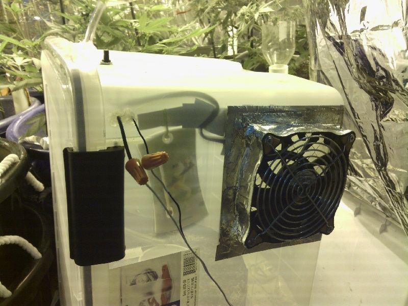 Male isolation chamber 7